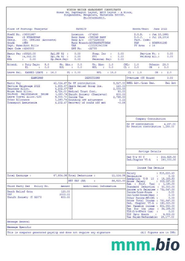 Szablon Wisdom Bridge Management Consultants payslip w formatach Word i PDF, 4